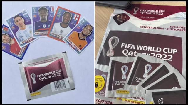FIFA World Cup  Panini Sticker Book
